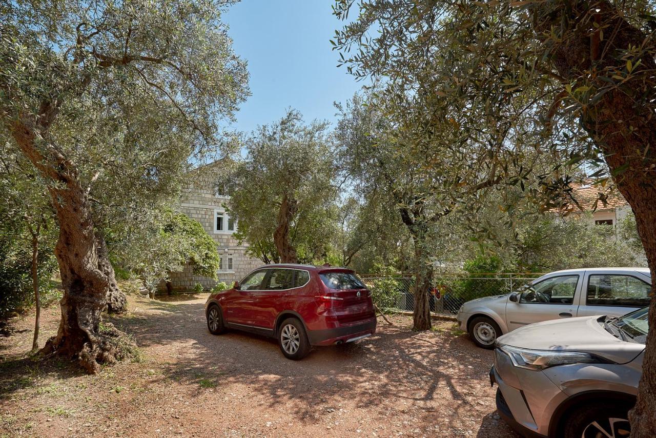 Apartmani Kuca U Maslinama Sveti Stefan Zewnętrze zdjęcie