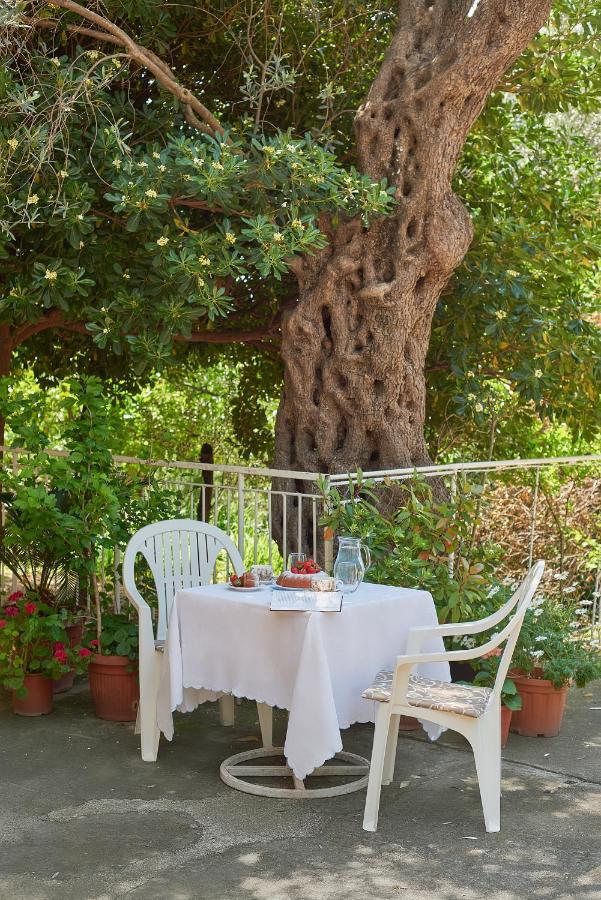 Apartmani Kuca U Maslinama Sveti Stefan Zewnętrze zdjęcie