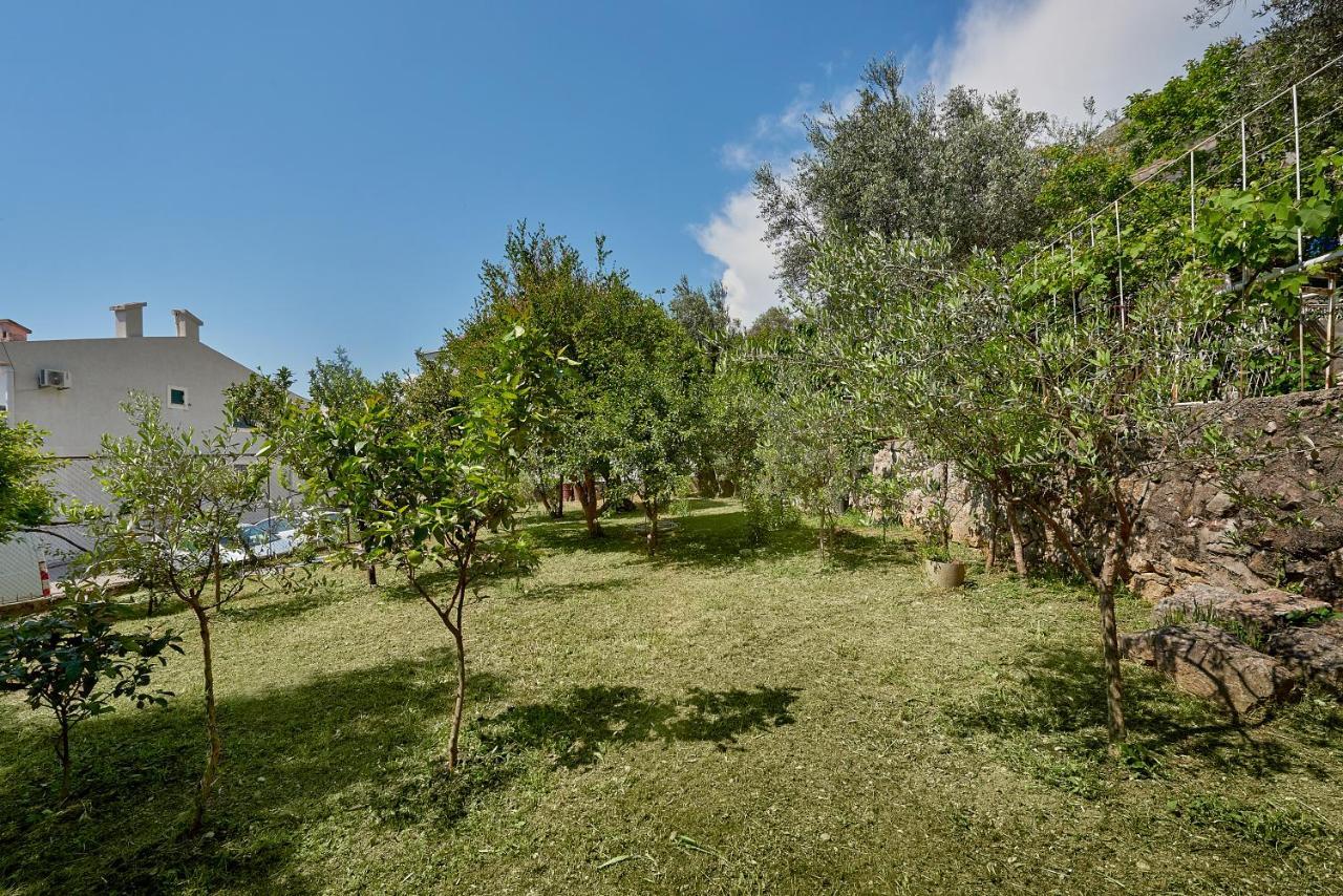 Apartmani Kuca U Maslinama Sveti Stefan Zewnętrze zdjęcie